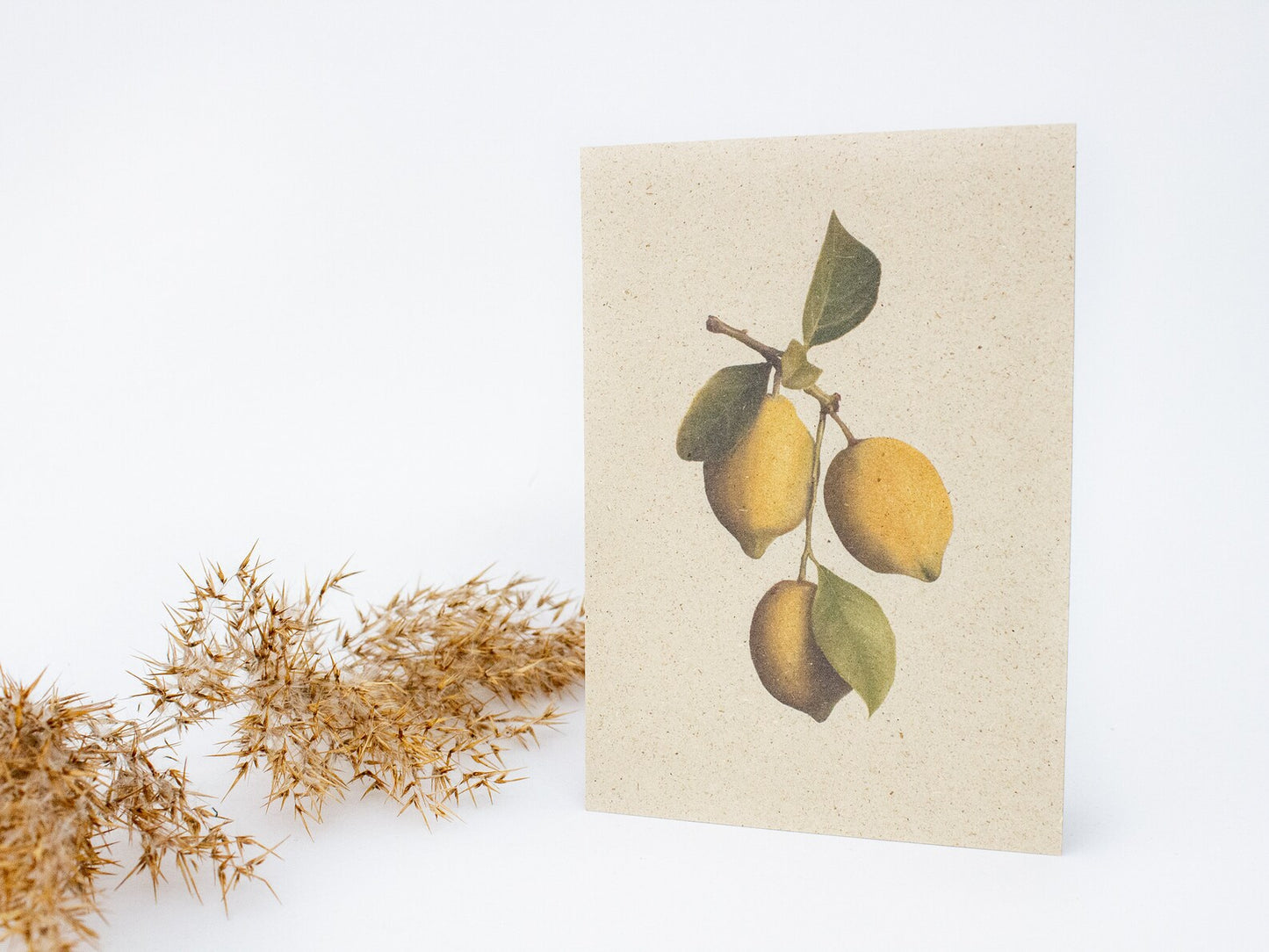 Graspapier Postkarten 'Blume' & 'Zitrone'
